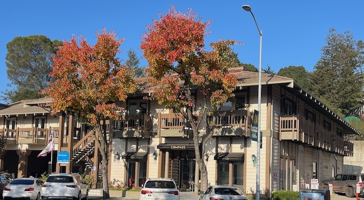 Mash office leasing at 51 Moraga Way, Orinda CA